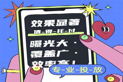 SEM服务公司经典案例集锦